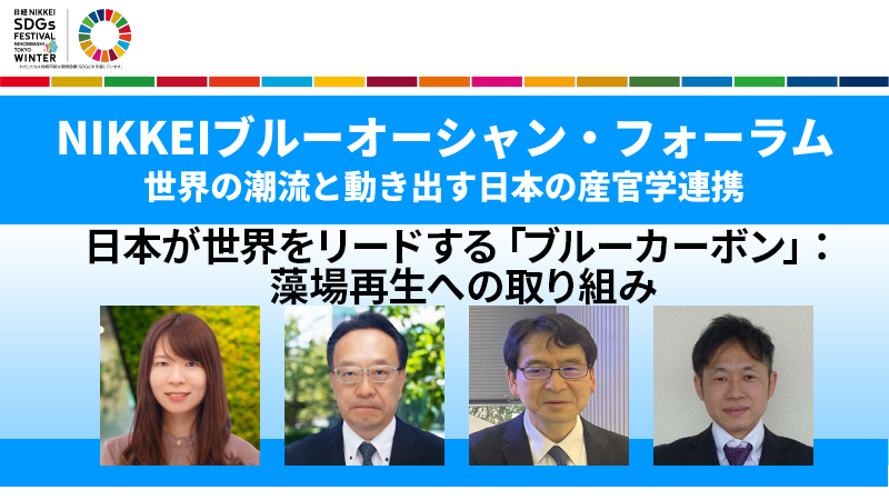 日本が世界をリードする「ブルーカーボン」：藻場再生への取り組み