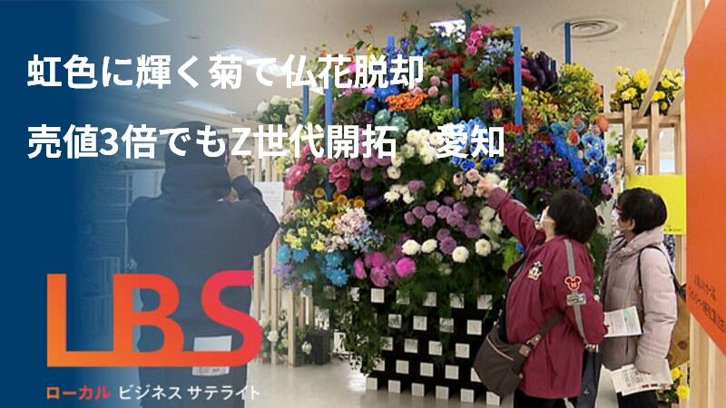 虹色に輝く菊で仏花脱却、売値3倍でもZ世代開拓　愛知