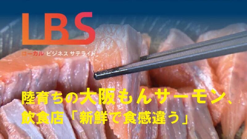 陸育ちの大阪もんサーモン、飲食店「新鮮で食感違う」