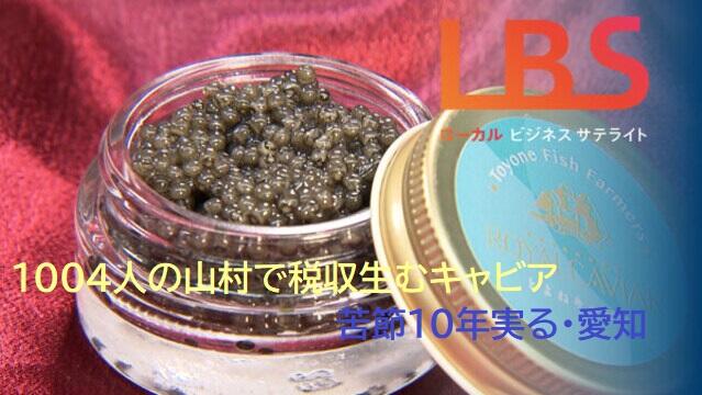 1004人の山村で税収生むキャビア　苦節10年実る・愛知