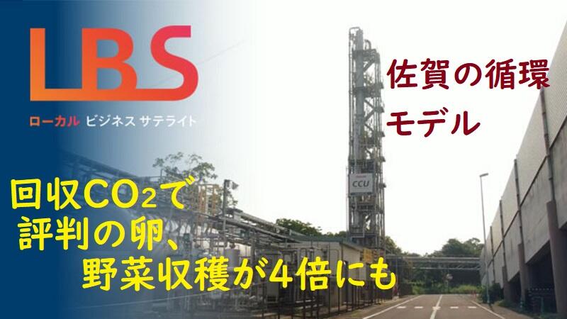 回収CO2で評判の卵、野菜収穫4倍も　佐賀の循環モデル