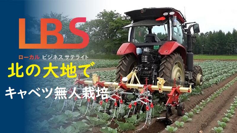 北の大地でキャベツ無人栽培　ヤンマーなど10年の集大成