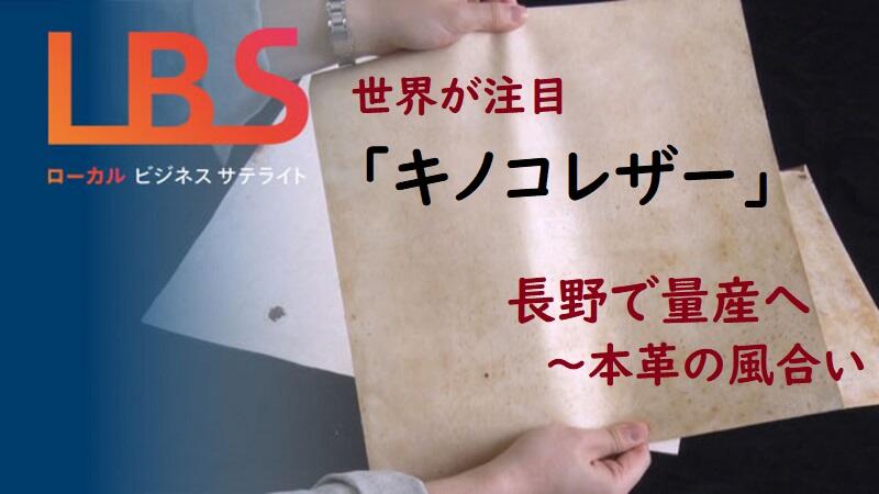 世界が注目「キノコレザー」長野で量産へ　本革の風合い