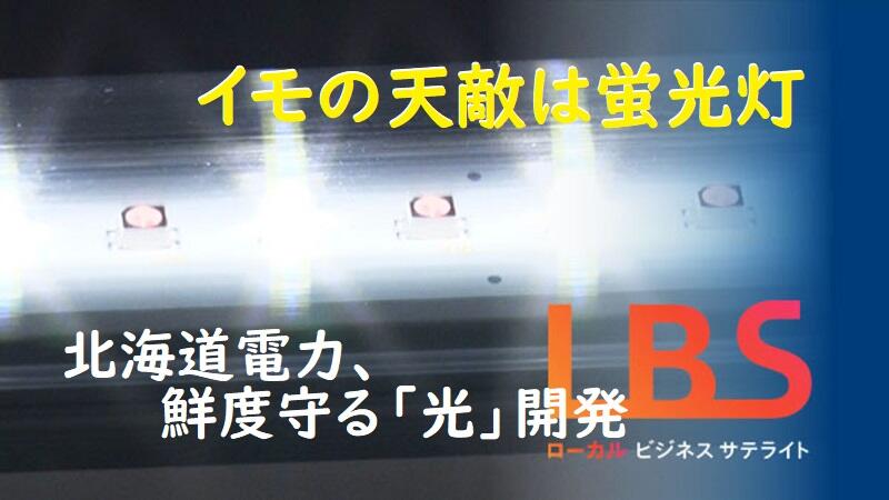 イモの天敵は蛍光灯　北海道電力、鮮度守る「光」開発