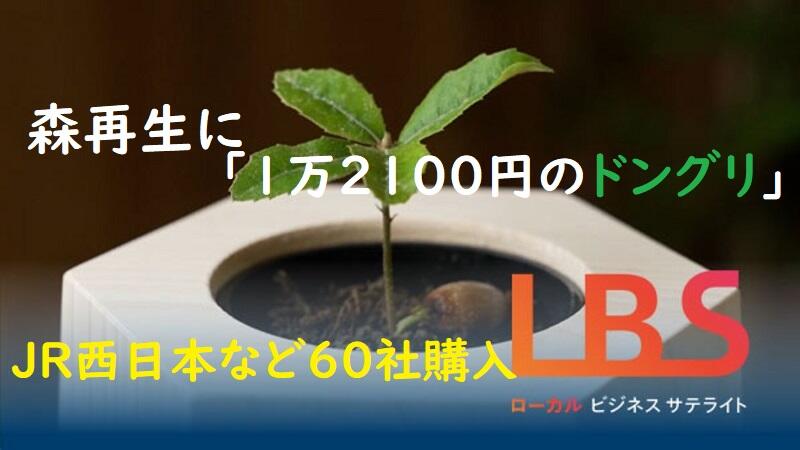 森再生に｢1万2100円のドングリ｣　JR西日本など60社購入