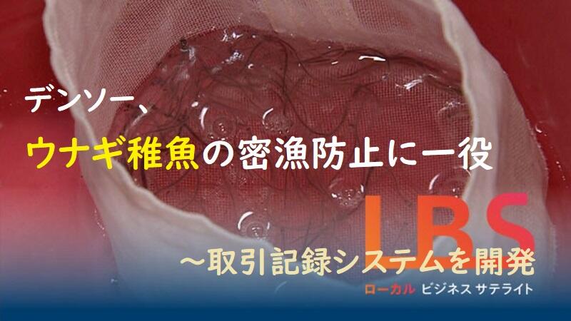 デンソー、ウナギ稚魚の密漁防止に一役　取引記録システムを開発