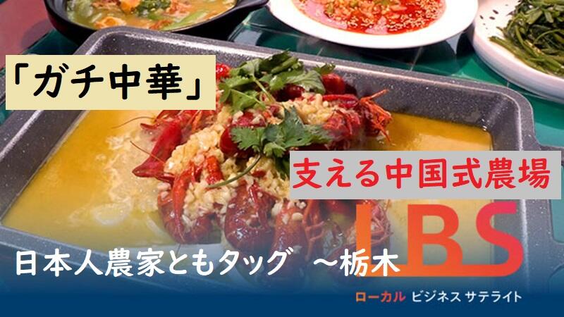 「ガチ中華」支える中国式農場、日本人農家ともタッグ　栃木