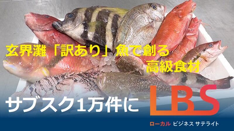 玄界灘「訳あり」魚で創る高級食材、サブスク1万件に