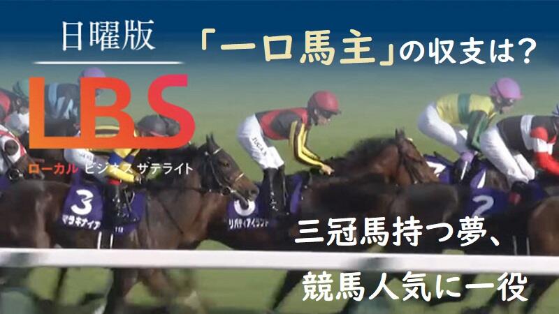 ｢一口馬主｣の収支は？　三冠馬持つ夢、競馬人気に一役