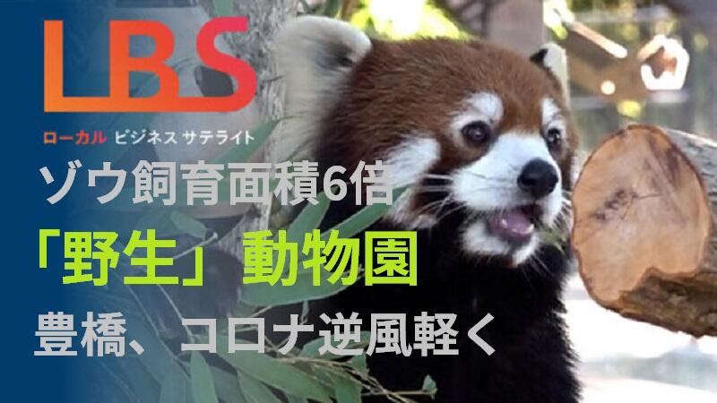 ゾウ飼育面積6倍「野生」動物園、コロナ逆風軽く・豊橋