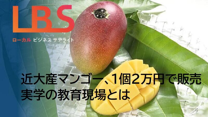 近大産マンゴー、1個2万円で販売　実学の教育現場とは