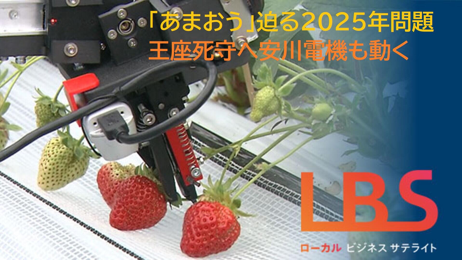 「あまおう」迫る2025年問題　王座死守へ安川電機も動く