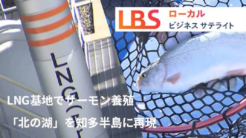 LNG基地でサーモン養殖　「北の海」を知多半島に再現